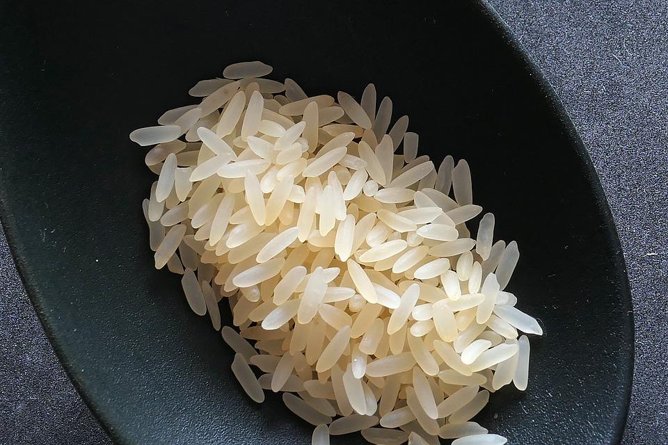 Rice Storage HippoMart 