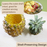 Pineapple Corer in SUS304 Stainless Steel with Ergonomic Handle - HippoMart SG